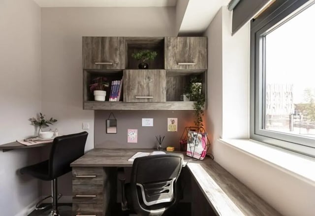 Two desks chairs shelving unit with plants study area at Queens Court in Reading Student Accommodation