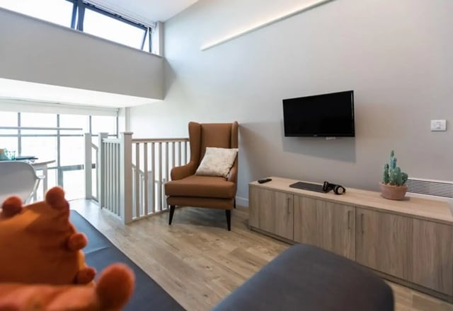Brown armchair tv cabinet and plant living room at Caton Court in Lancaster Student Accommodation