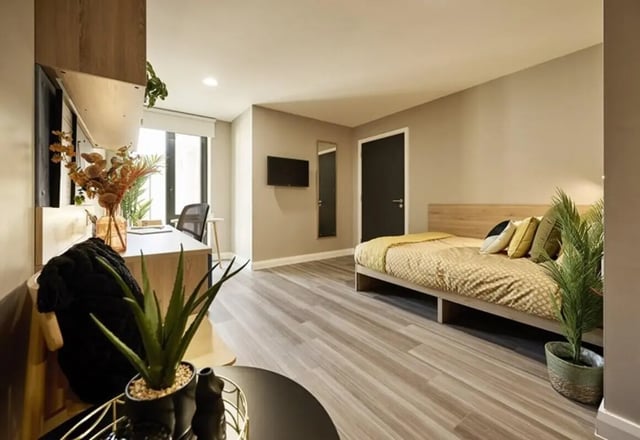 Bed desk chair TV and plants bedroom at The Spireworks in Oxford Student Accommodation