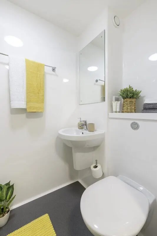 Toilet sink towels mirror and plant bathroom at Marshall Court in Newcastle Upon Tyne Student Accommodation