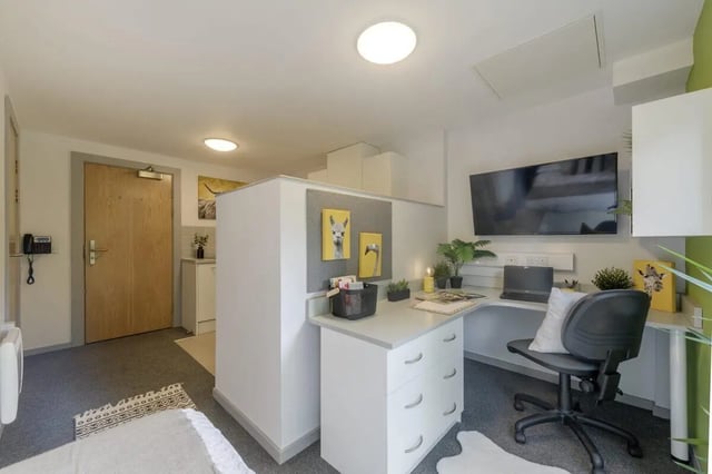 Desk chair television and llama art study area at Marshall Court in Newcastle Upon Tyne Student Accommodation