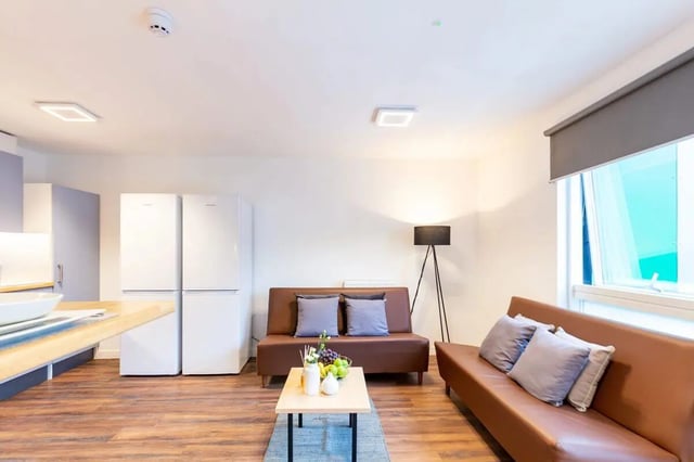 Two brown sofas two fridges floor lamp living room at Newton Court in Newcastle Upon Tyne Student Accommodation