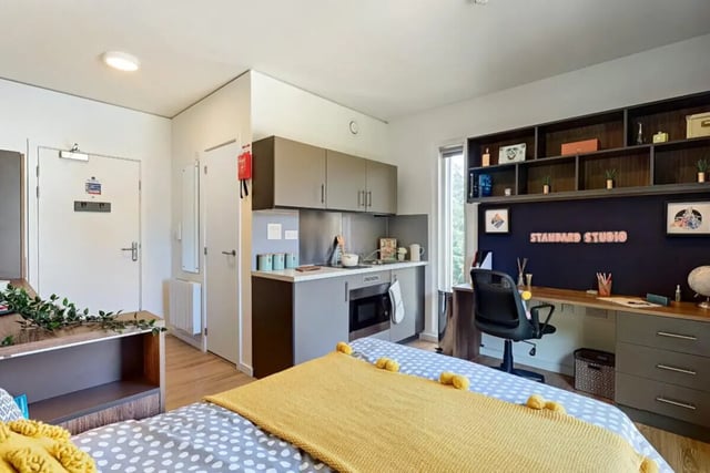 Bed kitchen desk and shelves studio apartment at Hox Park in Egham Student Accommodation