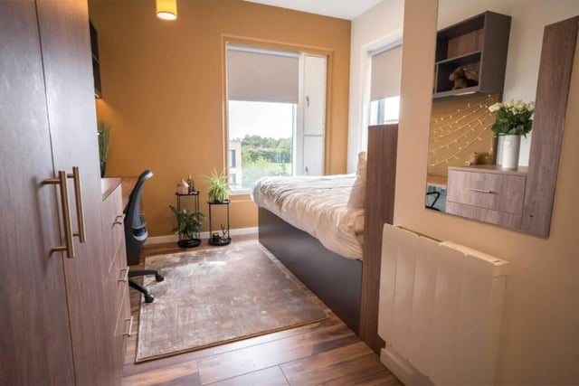 Wardrobe desk bed plants rug bedroom at Hox Park in Egham Student Accommodation