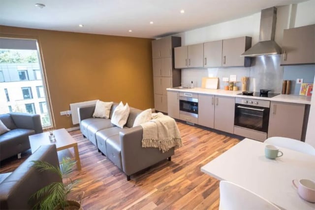 Sofa kitchen area with appliances living room at Hox Park in Egham Student Accommodation