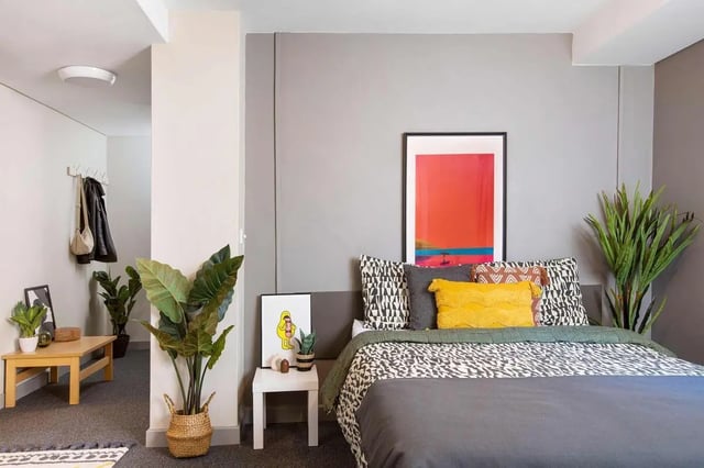 Bed with patterned pillows artwork and plants bedroom at Exchange Works in Sheffield Student Accommodation