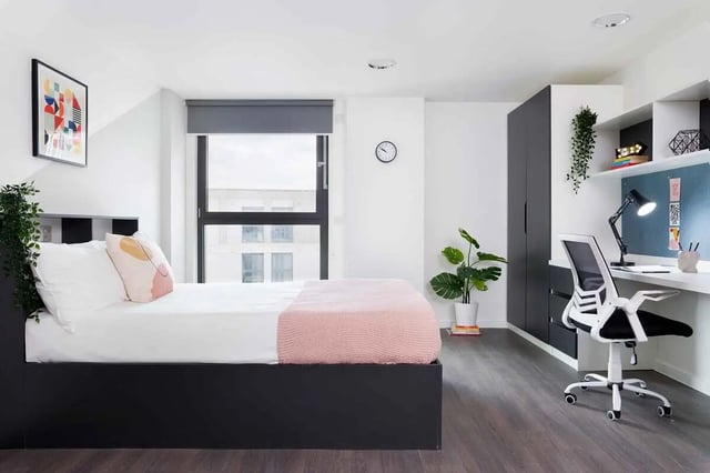 Bed with pink throw desk chair artwork plant Bedroom at Edinburgh Westfield in Edinburgh Student Accommodation