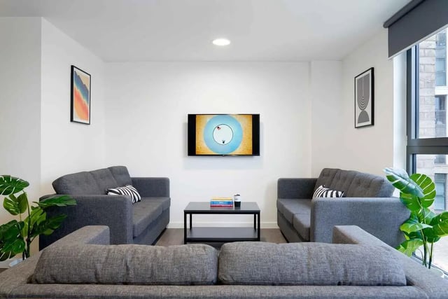 Three sofas television framed art plants living room at Edinburgh Westfield in Edinburgh Student Accommodation
