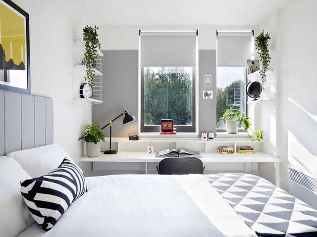 Bed desk plants and art Bedroom at Student Castle Oxford in Oxford Student Accommodation
