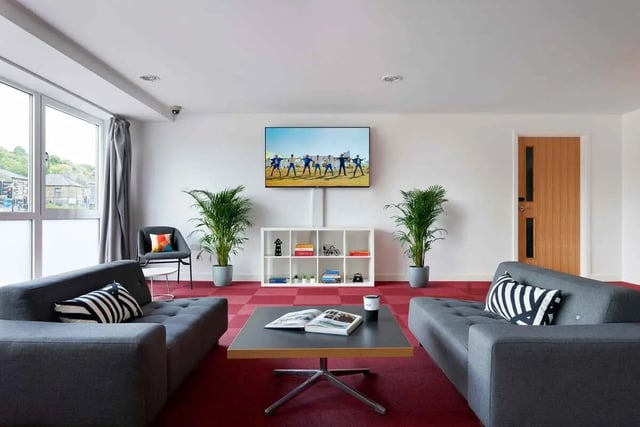 Two sofas plants and a television Living room at Saw Mill in Huddersfield Student Accommodation