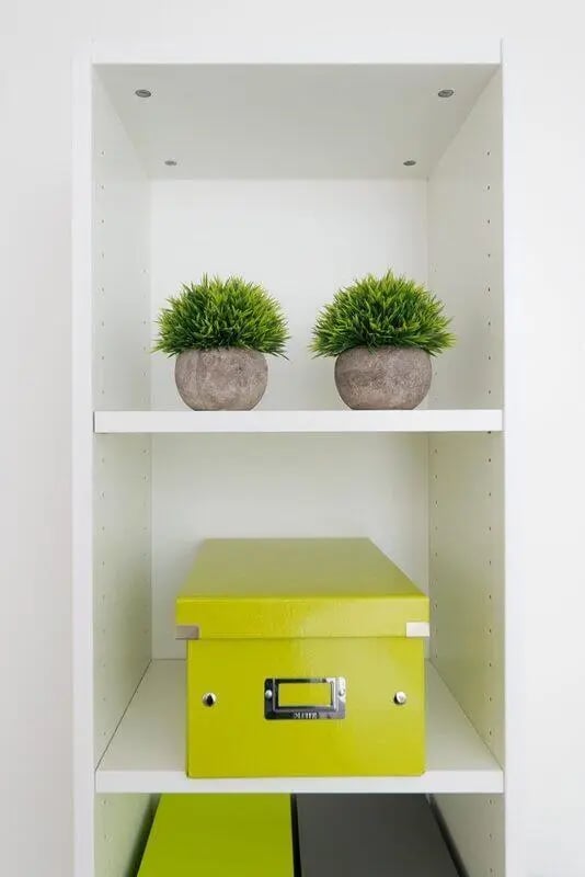 Two green plants and lime box storage shelf at Froghall in Aberdeen Student Accommodation