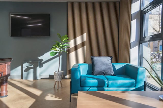 Turquoise couch with pillow plant and TV living room at The Park in Oxford Student Accommodation