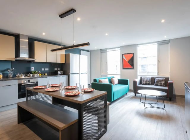 Kitchen dining and living area with sofas Image Type Living Room at Highlight Thomas Street in Dublin Student Accommodation