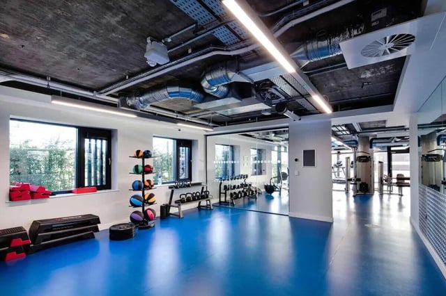 Weight racks balls and exercise machines gym area at Highfield House in Dublin Student Accommodation