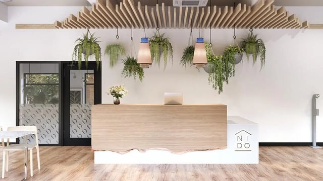 Reception desk with plants and laptop lobby at Ashlin House in Cork Student Accommodation