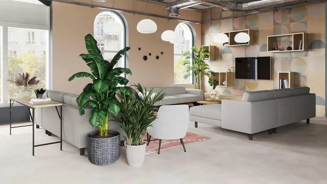 Sofa plants tables and television living room at Broga House in Cork Student Accommodation