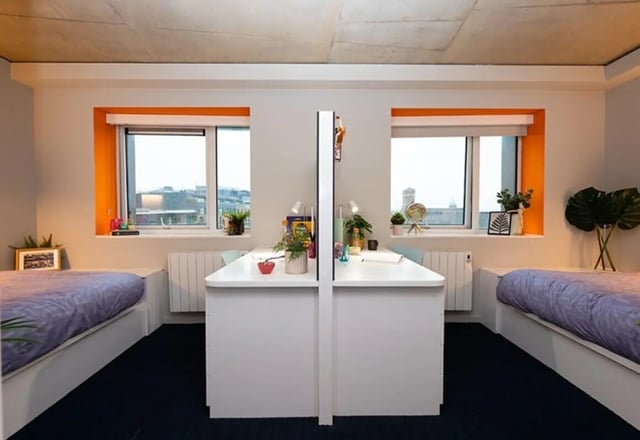 Two beds study desk windows and plants bedroom at Stephen's Quarter in Dublin Student Accommodation