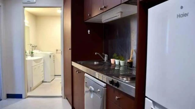 Kitchen sink dishwasher plants Haier fridge kitchen at UniLodge Stafford House in Wellington Student Accommodation