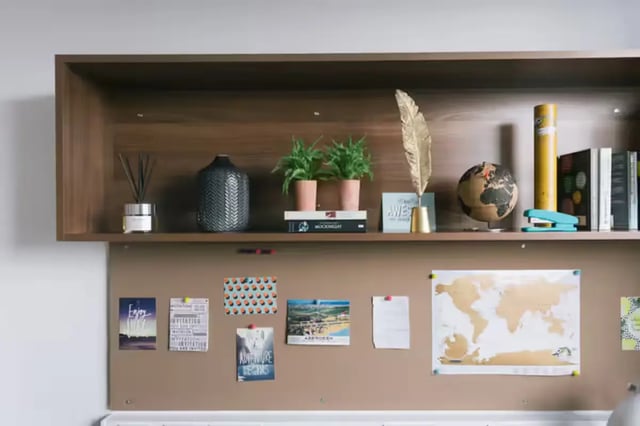 Shelf with books plants vase globe and corkboard study area at Centro Court in Aberdeen Student Accommodation