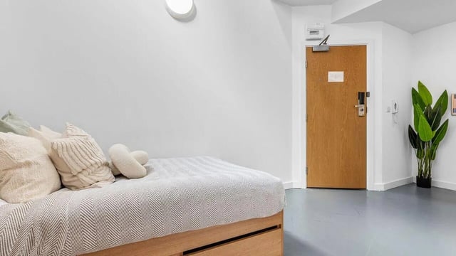 Bed with pillows plant and door bedroom at Algernon Firth in Leeds Student Accommodation