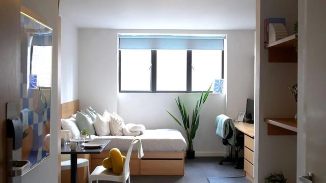 Bed table chair plant desk shelves bedroom at Algernon Firth in Leeds Student Accommodation