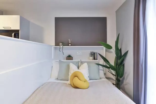 Bed with pillows plant and whiteboard Bedroom at Ayton House in St Andrews Student Accommodation