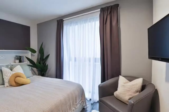 Bed chair plant window television bedroom at Ayton House in St Andrews Student Accommodation