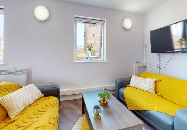 Two sofas coffee table plant television living room at iQ Lambert & Fairfield House in Manchester Student Accommodation