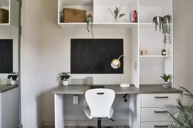 Desk chair lamp plants shelves study area at Talbot Point in Nottingham Student Accommodation