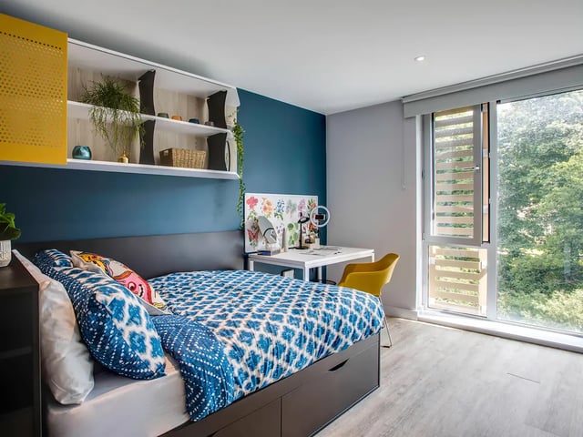 Bed desk shelves plants and large window bedroom at Amnis House in Cork Student Accommodation