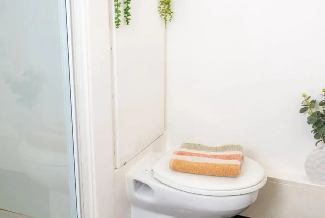 Toilet with striped towel and plants bathroom at Marybone Student Village 3 in Liverpool Student Accommodation