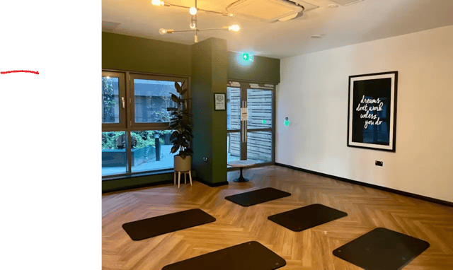 Yoga mats on herringbone floor artwork and plant living room at Little Patrick Street in Belfast Student Accommodation