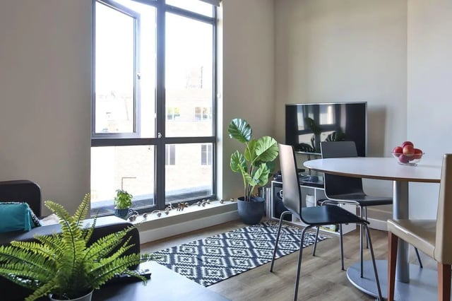 Sofa plants rug TV table chairs living room at Library Lofts in Exeter Student Accommodation