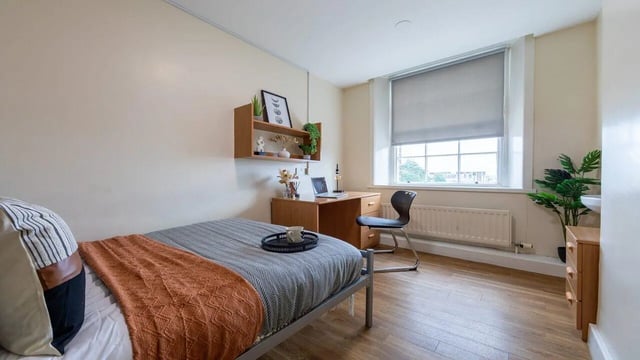 Bed desk chair plant and shelf bedroom at Garth Heads in Newcastle Upon Tyne Student Accommodation