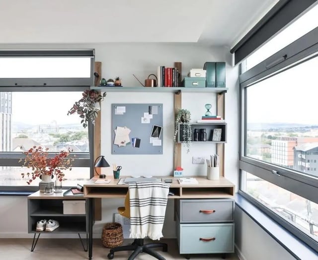 Desk with chair plants and window Study area at Summit House in Cardiff Student Accommodation