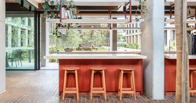 Three stools at counter with plants and view kitchen at Iglu Summer Hill in Sydney Student Accommodation