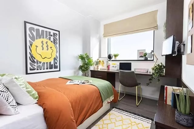 Bed desk plant and poster bedroom at Sky Plaza in Leeds Student Accommodation