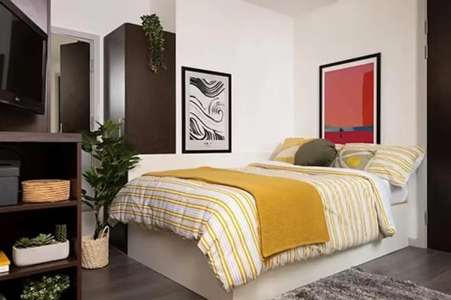 Bed artwork plants and shelving Bedroom at Sky Plaza in Leeds Student Accommodation