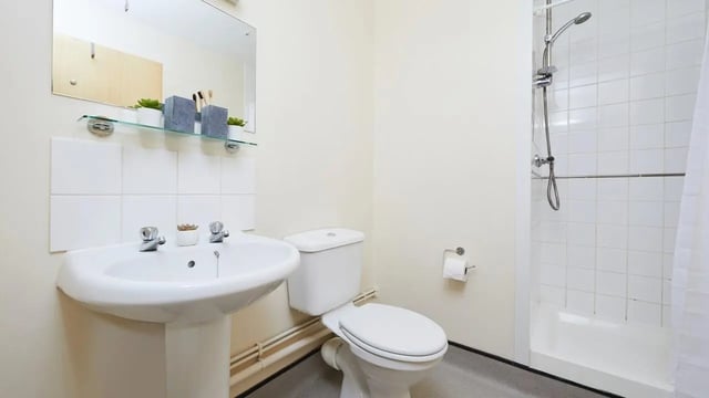 Sink toilet shower with plants and mirror bathroom at Collegiate King Edward Studios in Exeter Student Accommodation