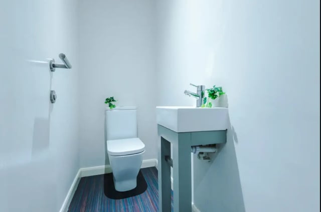 Toilet and sink with plants bathroom at 9 Queen Anne Street in Stoke-On-Trent Student Accommodation