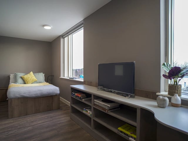 Bed TV shelf window plants Bedroom at 800 Bristol Road in Birmingham Student Accommodation