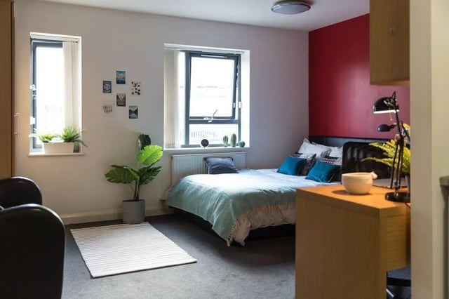 Bed rug plants and desk Bedroom at St Mark's Court in Leeds Student Accommodation