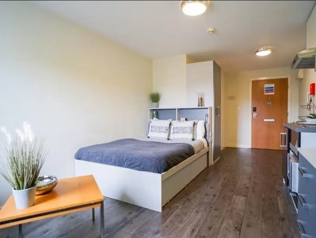 Bed plant table and kitchen area bedroom at Beaverbank Place in Edinburgh Student Accommodation