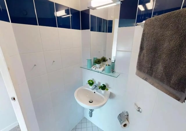 Sink plants toothbrush holders towel rack bathroom at iQ Marsden House in Leeds Student Accommodation