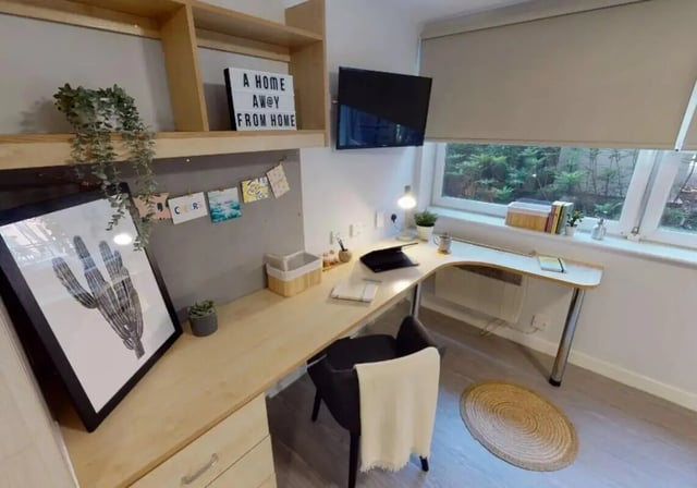 Desk plants framed art and TV study area at iQ Marsden House in Leeds Student Accommodation