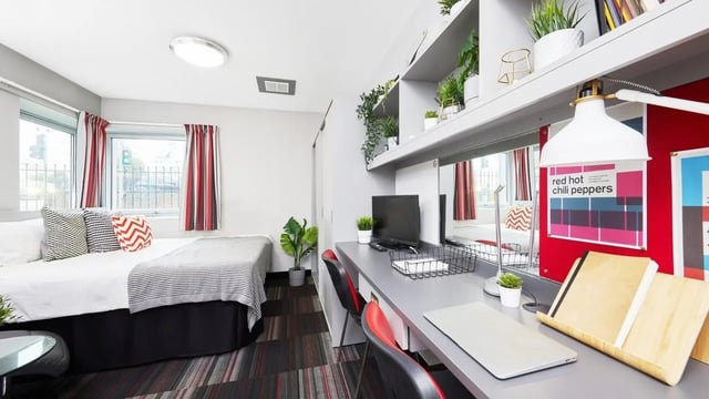 Bed desk computer plants and shelves bedroom at Clarendon Street in Nottingham Student Accommodation