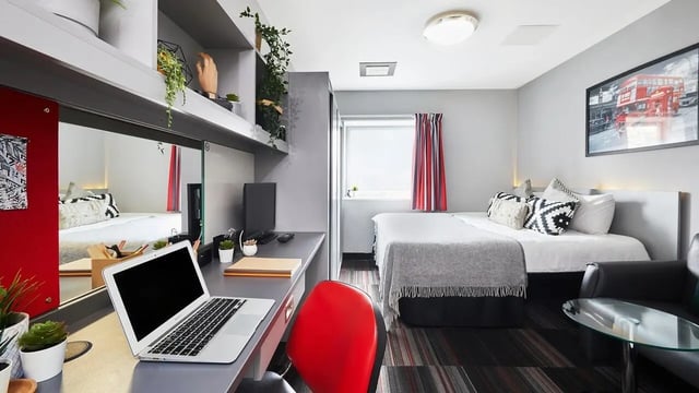 Desk bed chair plants London bus decor bedroom at Clarendon Street in Nottingham Student Accommodation