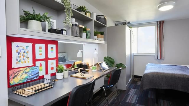Desk with art plants chairs and bed Bedroom at The Moor in Sheffield Student Accommodation