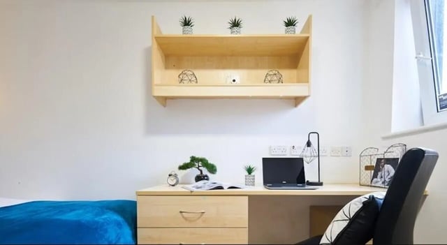 Desk with laptop plants and shelving study area at Manchester House in Manchester Student Accommodation