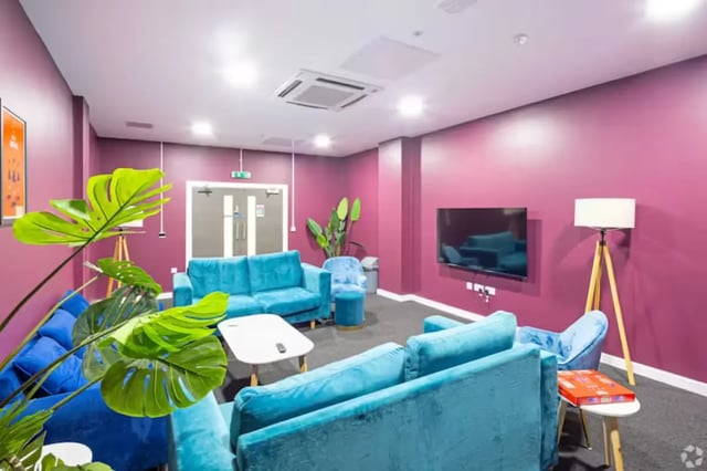 Modern sofas TV and plants common area living room at The Paper Works in Sheffield Student Accommodation